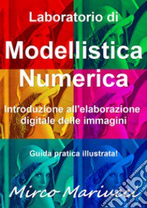 Laboratorio di modellistica numerica. Introduzione all'elaborazione digitale delle immagini libro di Mariucci Mirco