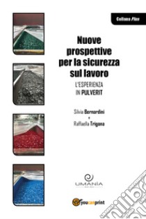 Nuove prospettive per la sicurezza sul lavoro. L'esperienza in Pulverit libro di Trigona Raffaella; Bernardini Silvia