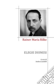 Elegie duinesi libro di Rilke Rainer Maria; Landolfi A. (cur.)