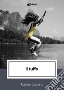 Il tuffo libro di Crosetto Alberto