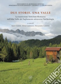 Due storie, una valle. La transizione Antichità-Medioevo nell'Alta Valle del Tagliamento attraverso l'archeologia libro di Gelichi S. (cur.); Cadamuro S. (cur.); Cianciosi A. (cur.)