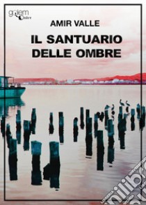 Il santuario delle ombre libro di Valle Amir