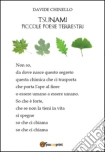 Tsunami, piccole poesie terrestri libro di Chinello Davide