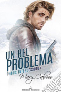 Un bel problema libro di Calmes Mary