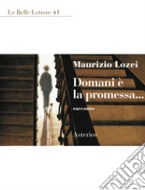 Domani è la promessa... libro di Lozei Maurizio