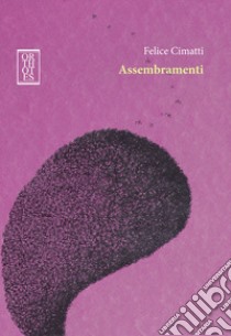 Assembramenti libro di Cimatti Felice