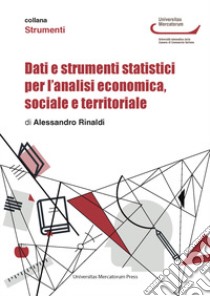 Dati e strumenti statistici per l'analisi economica, sociale e territoriale libro di Rinaldi Alessandro