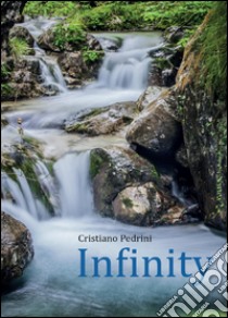 Infinity libro di Pedrini Cristiano