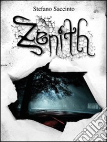 Zenith libro di Saccinto Stefano