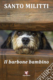 Il barbone bambino libro di Militti Santo