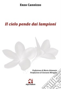 Il cielo pende dai lampioni libro di Cannizzo Enzo