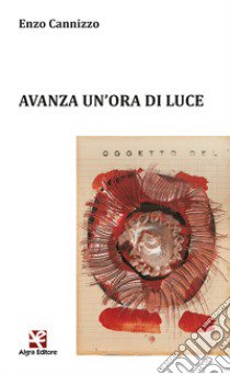 Avanza un'ora di luce libro di Cannizzo Enzo