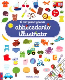 Il mio primo grande abbecedario illustrato. Ediz. a colori libro di Choux Nathalie