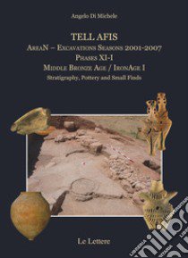 Tell Afis AreaN. Excavations Seasons 2001-2007. Phases XI-I. Middle Bronze Age. IronAge I. Stratigraphy, pottery and small finds libro di Di Michele Angelo