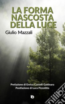 La forma nascosta della luce libro di Mazzali Giulio