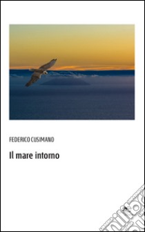 Il mare intorno libro di Cusimano Federico