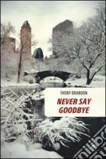 Never say goodbye  libro di Brandon Thony