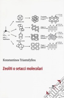 Zeoliti o setacci molecolari libro di Triantafyllou Konstantinos