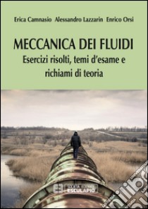 Meccanica dei fluidi. Esercizi risolti, temi d'esame e richiami di teoria libro di Camnasio Erica; Lazzarin Alessandro; Orsi Enrico