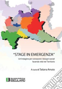 Stage in emergenza. Un'indagine per conoscere i bisogni sociali facendo rete nel territorio libro di Amato T. (cur.)