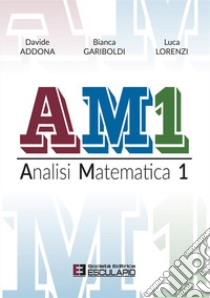 AM1 Analisi Matematica 1 libro di Addona Davide; Lorenzi Luca; Gariboldi Bianca