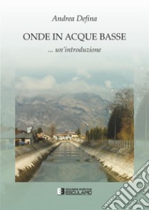 Onde in acque basse libro di Defina Andrea