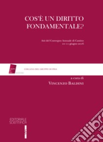 Cos'è un diritto fondamentale? Atti del Convegno (Cassino, 10-11 giugno 2016) libro di Baldini V. (cur.)