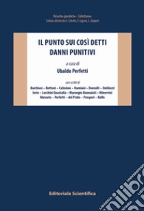 Il punto sui così detti danni punitivi libro di Perfetti U. (cur.)