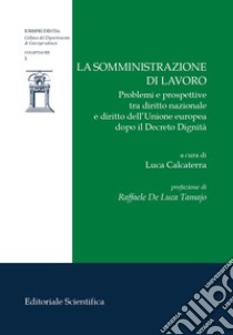 La somministrazione di lavoro. Problemi e prospettive tra diritto nazionale e diritto dell'Unione europea dopo il Decreto Dignità libro di Calcaterra L. (cur.)