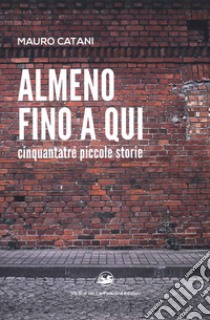 Almeno fino a qui cinquantatré piccole storie libro di Catani Mauro