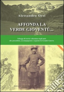 Affonda la verde gioventù... Schegge di storia valsesiana negli anni che precedono, accompagnano e seguono la grande guerra libro di Orsi Alessandro