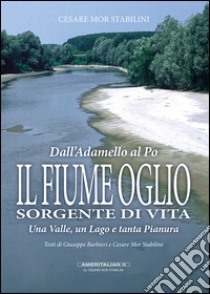 Il fiume Oglio. Sorgente di vita. Una valle, un lago e tanta pianura, tra passato e presente libro di Mor Stabilini Cesare; Barbieri Giuseppe