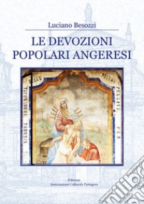 Il Verbano nella grande guerra. I caduti e i monumenti libro di Besozzi Luciano