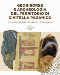 Georisorse e archeologia del territorio di Civitella Paganico. Con carta topografica. Con Carta geografica libro di Pagani G. (cur.); Buracchi E. (cur.); Marcocci A. (cur.)