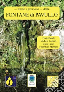 «... umile e preziosa ...» Dalle fontane di Pavullo. Con carta 40x60 cm libro di Bondi Dario; Lamieri Michela; Arzenton Lanzi Gioia