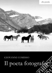 Il poeta fotografo libro di Comisso Giovanni; Sandrini G. (cur.)