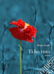 Ti ho visto libro di Scudu Maria