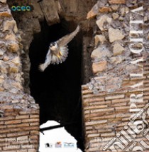 Sopra la città. I falchi pellegrini a Roma-The peregrine falcons in Rome. Ediz. bilingue libro di Pignatti Fulco; Sestieri Lorenzo; Sestieri V. (cur.)