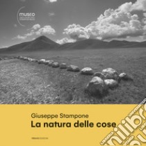 Giuseppe Stampone. La natura delle cose. Ediz. bilingue libro di Farinotti Rossella; De Leonibus E. (cur.)