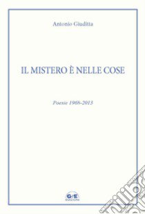 Il mistero è nelle cose. Poesie 1968-2013 libro di Giuditta Antonio