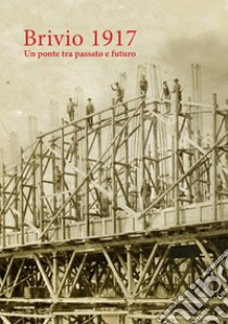 Brivio 1917. Un ponte tra passato e futuro libro di Cogliati Massimo; Brusetti Lorenzo