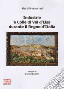 Industrie a Colle di Val d'Elsa durante il Regno d'Italia. Ediz. illustrata libro di Mezzedimi Meris