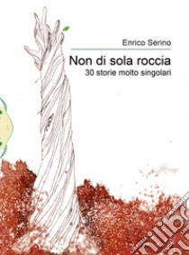 Non di sola roccia. 30 storie molto singolari libro di Serino Enrico