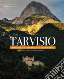 Tarvisio. Storie di foreste, rocce, acque e popoli. Ediz. italiana e inglese libro di Sarcinelli Umberto; Mascarin A. (cur.)