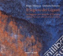 Il segreto dei giganti. Le faggete più antiche d'Europa nel Parco Nazionale d'Abruzzo, Lazio e Molise. Ediz. italiana e inglese libro di D'Amicis Bruno; Esposito Umberto