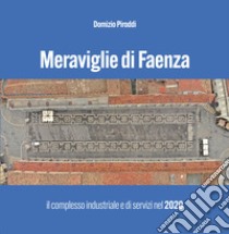 Meraviglie di Faenza. Il complesso industriale e di servizi nel 2020 libro di Piroddi Domizio