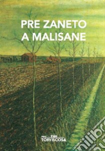 Pre Zaneto a Malisane. Testo friulano e italiano libro di Pre Zaneto; Fogolini S. (cur.)