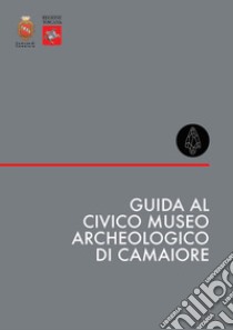 Guida al Civico Museo Archeologico di Camaiore. Nuova ediz. libro di Bonato M. (cur.)