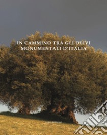 In cammino tra gli olivi monumentali d'Italia. Ediz. illustrata libro di Okuma Yuko; Sargenti Sara