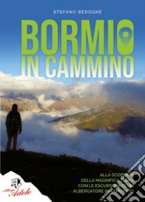 Bormio in cammino. Alla scoperta della magnifica terra con le escursioni di un albergatore innamorato libro di Bedognè Stefano